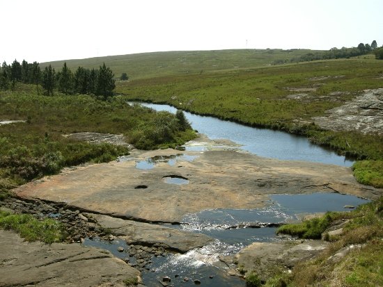rio dos papagaios, Palmeira